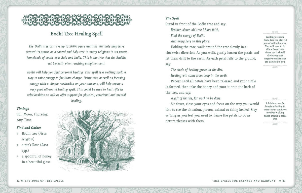 Page from the Book of Tree Spells - Cheralyn Darcey featuring a Bodhi Tree Healing Spell illustration
