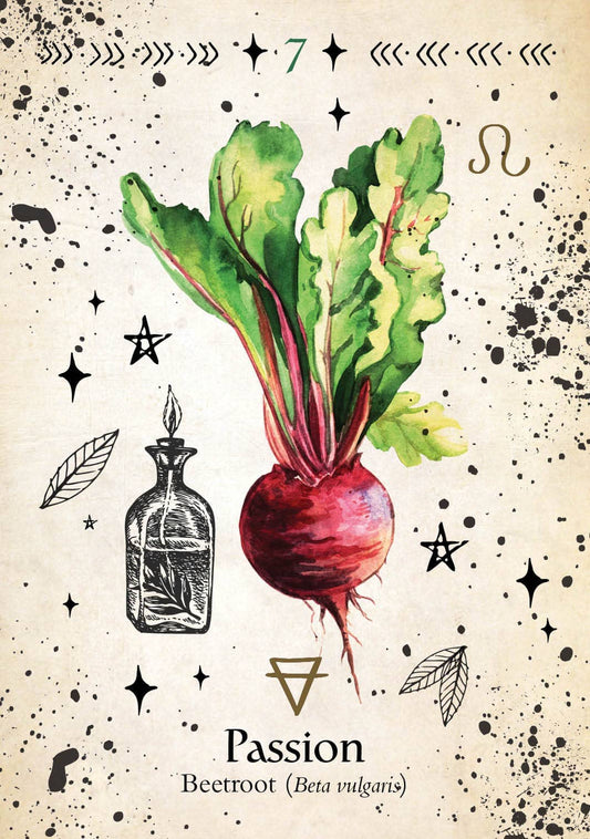Green Witch Oracle Card featuring Passion with a beetroot illustration and herbal elements