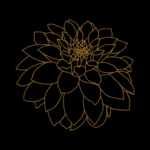 Black Dahlia Botánica