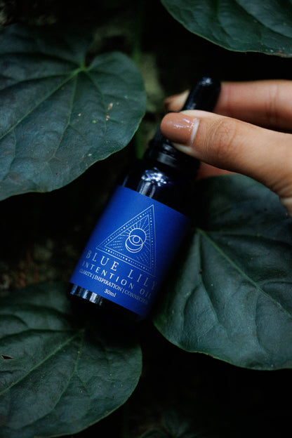 Blue Lotus Intention Oil from Blue Lily Healing in a sleek blue bottle on green leaves