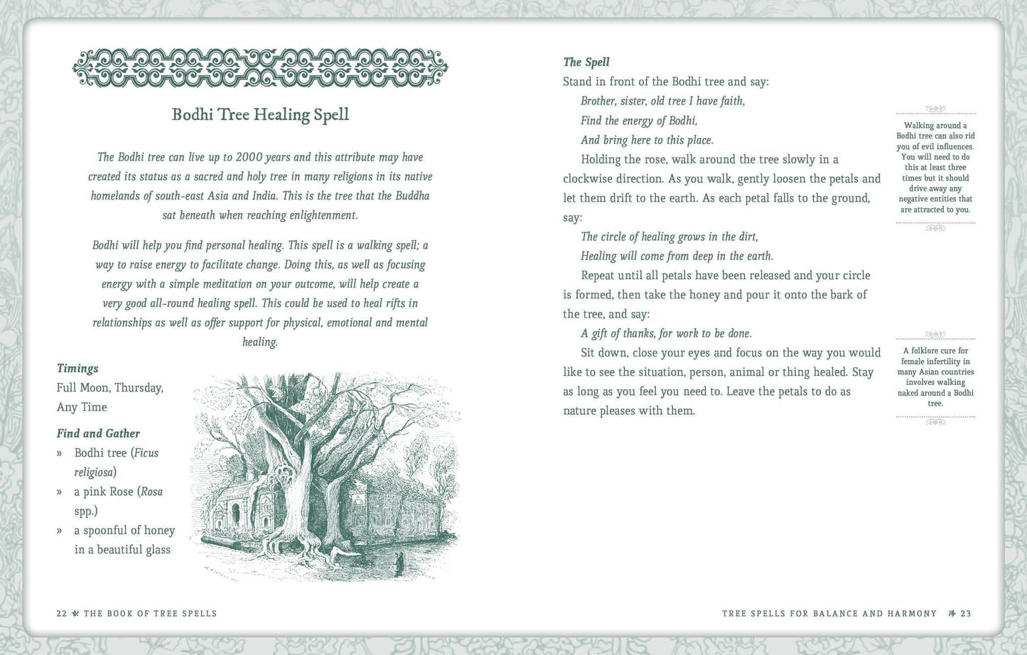 Page from the Book of Tree Spells - Cheralyn Darcey featuring a Bodhi Tree Healing Spell illustration