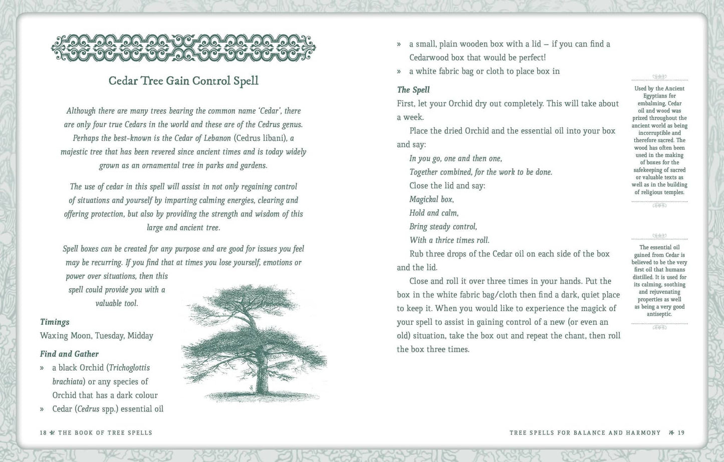 Pages from the Book of Tree Spells - Cheralyn Darcey featuring a Cedar Tree Gain Control Spell