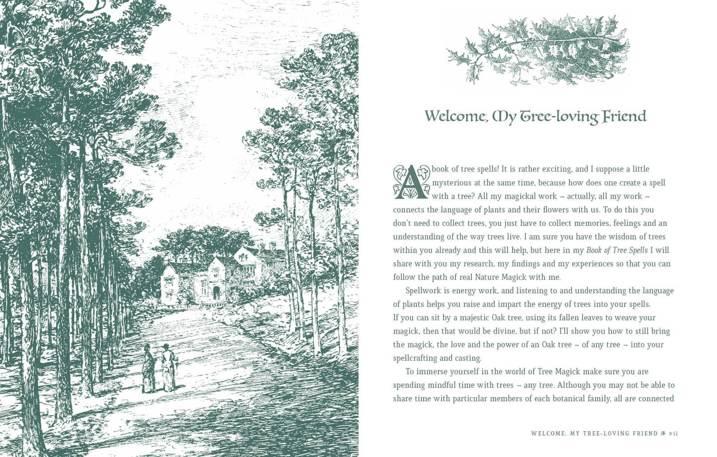 Book of Tree Spells by Cheralyn Darcey featuring detailed illustrations and nature-themed content