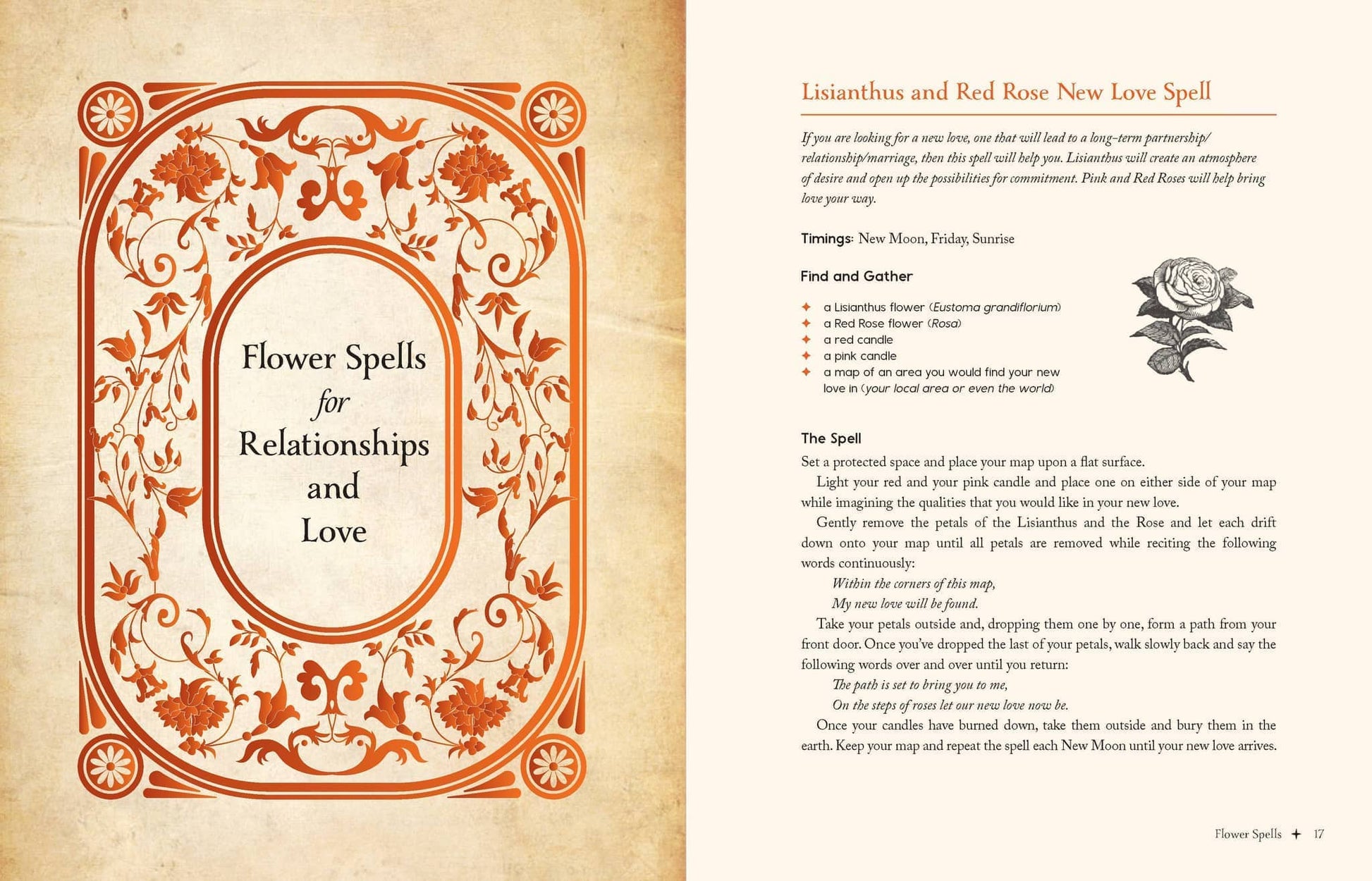 Earth Magick by Cheralyn Darcey featuring flower spells for relationships and love
