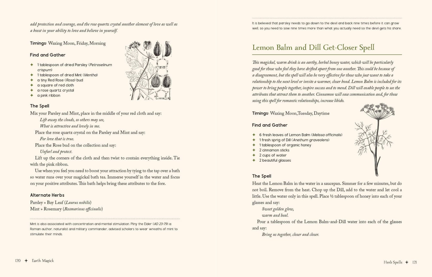 Page from Earth Magick - Cheralyn Darcey featuring a spell for Lemon Balm and Dill with herbal illustrations