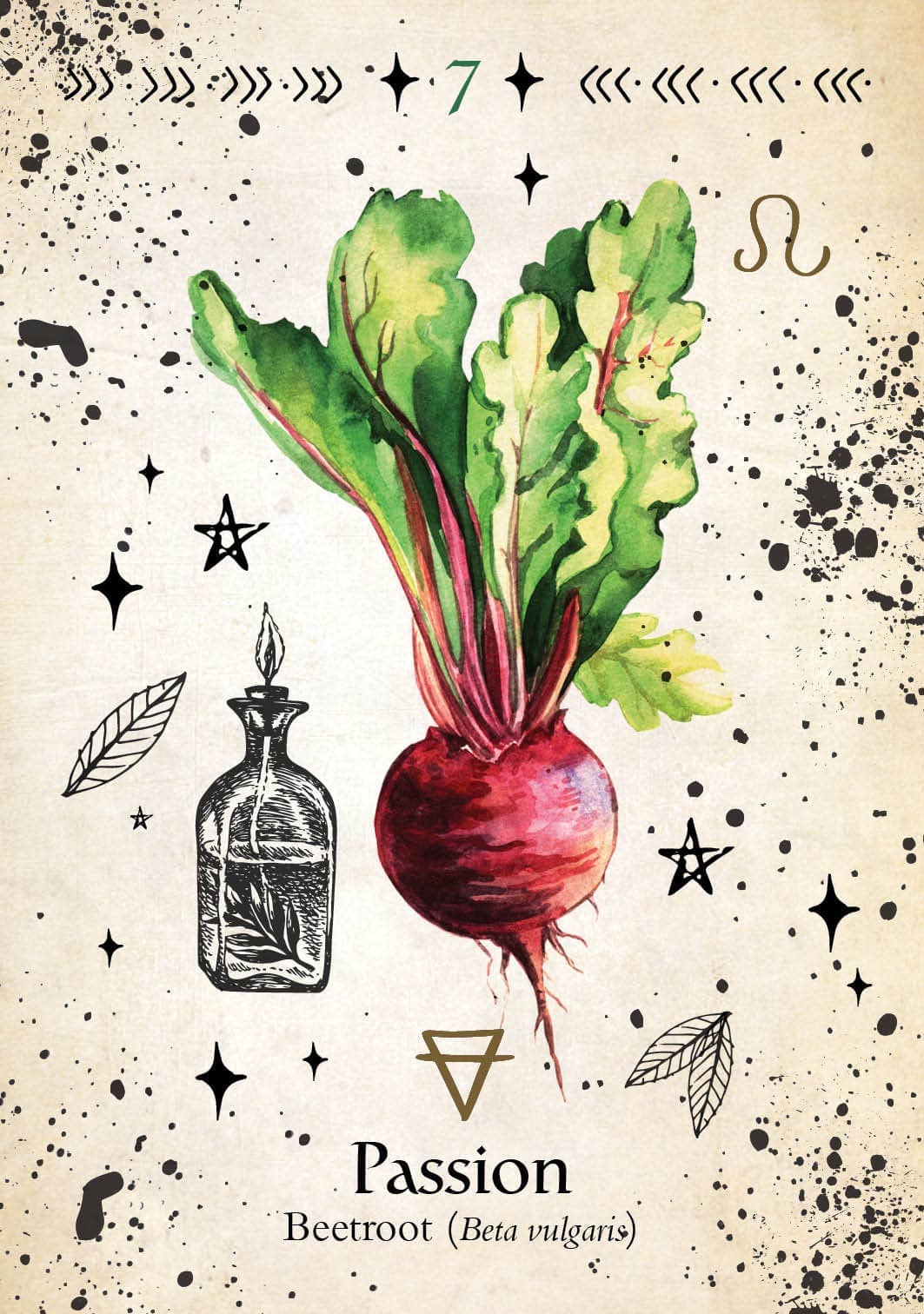 Green Witch Oracle Card featuring Passion with a beetroot illustration and herbal elements