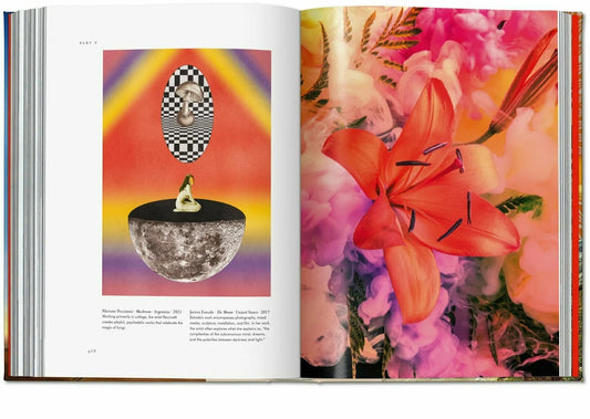 Inside view of Plant Magick - Jessica Hundley - Library of Esoterica showing vibrant imagery and floral designs