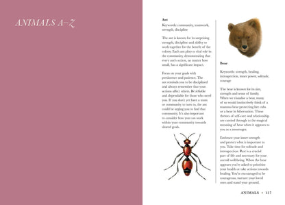 Practical Guide to Magic in Nature by Jessica Lahoud featuring illustrations of Ant and Bear with descriptions