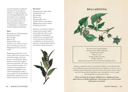 Illustrated pages from Practical Guide to Magic in Nature by Jessica Lahoud showcasing plant details and magical properties.