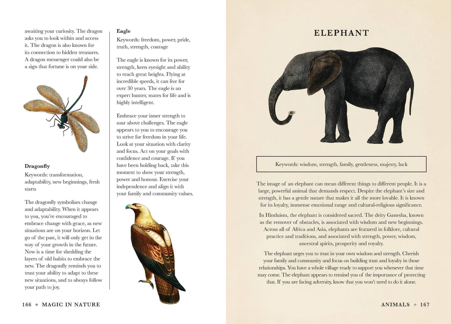 Pages from Practical Guide to Magic in Nature by Jessica Lahoud featuring dragonfly, eagle, and elephant illustrations