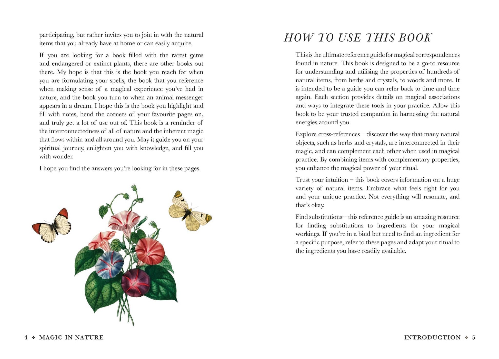 Cover page of Practical Guide to Magic in Nature by Jessica Lahoud featuring botanical illustrations and butterflies