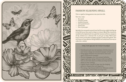 Illustrated page from Lost Book of Spells - Fiona Horne featuring a passion sleeping spell with flowers and a bird