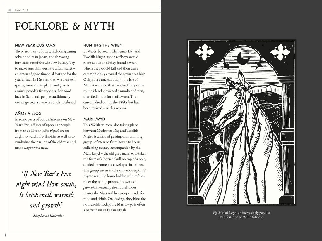 The Occult Almanac - Liz Williams featuring illustrations of folklore and myth themes