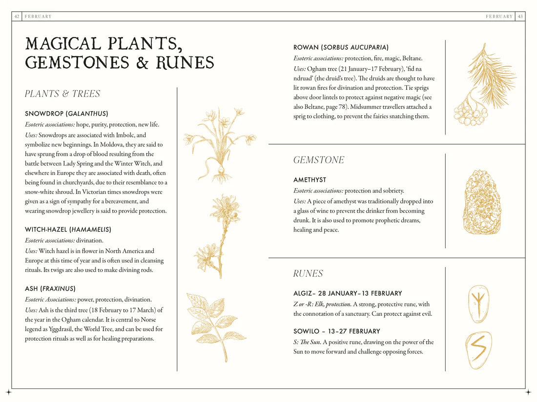 The Occult Almanac - Liz Williams featuring magical plants, gemstones, and runes guide