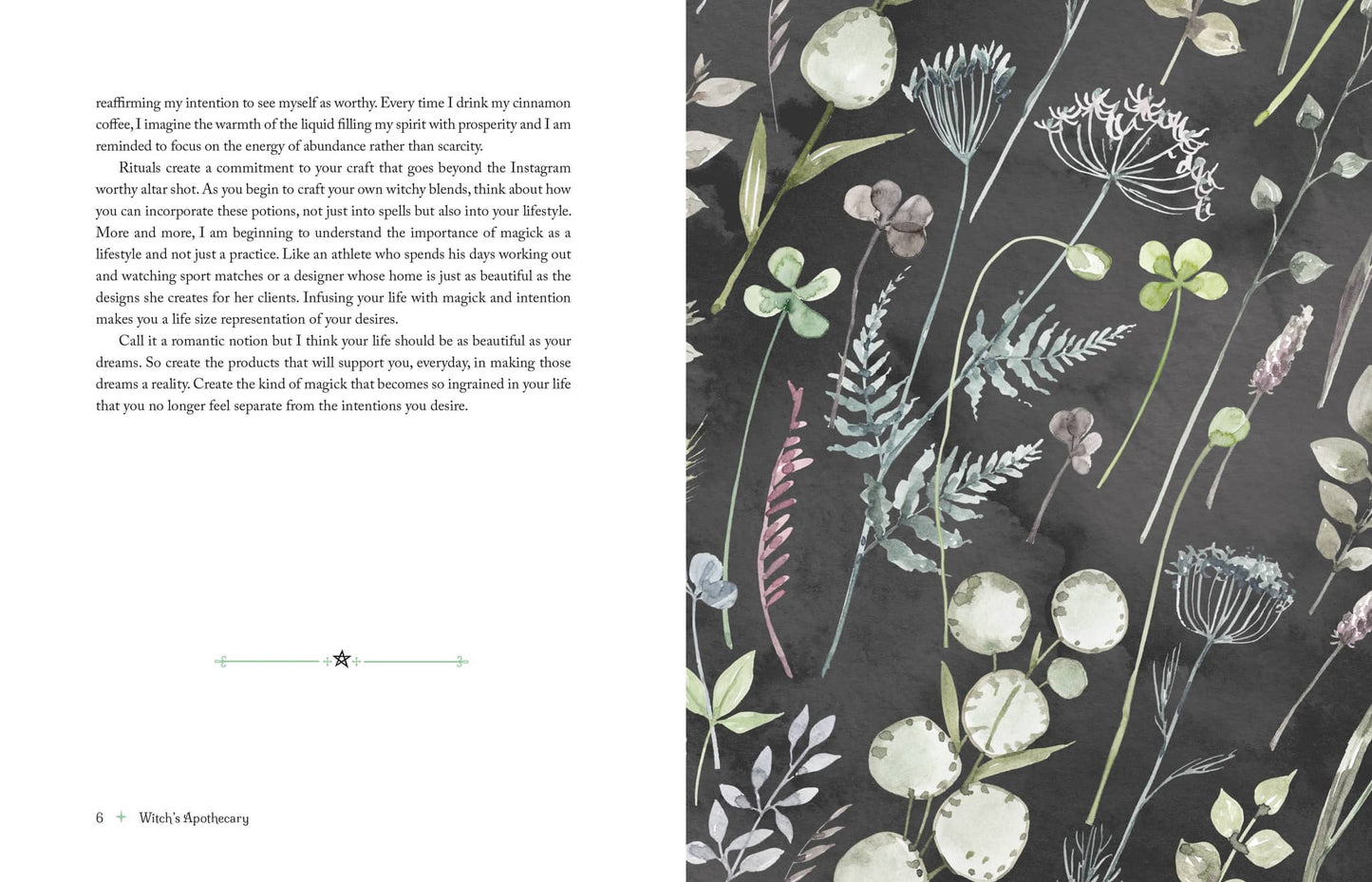 The Witch's Apothecary - Lorraine Anderson showcasing elegant botanical illustrations on dark background