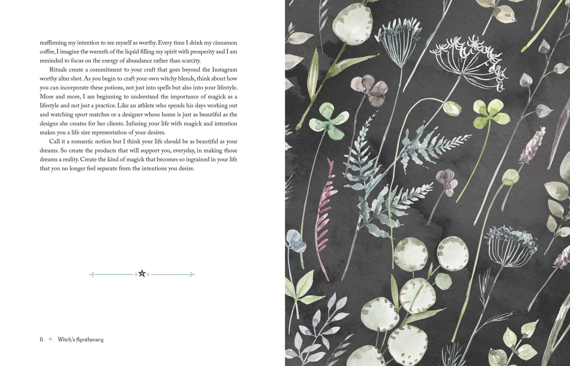 The Witch's Apothecary - Lorraine Anderson showcasing elegant botanical illustrations on dark background